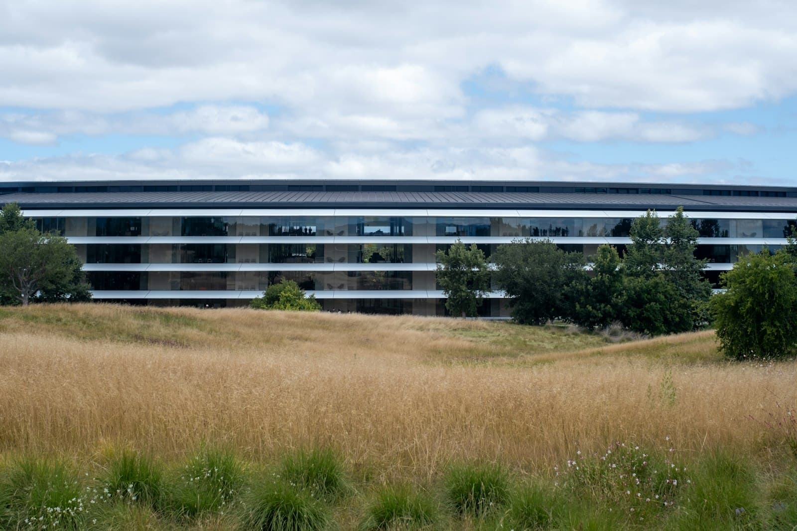 Modern low-slung commercial building with a dry-grass meadow in the foreground and a Southern California-feeling sky.